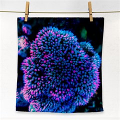 Pink-tipped Sedum Face Towel by okhismakingart