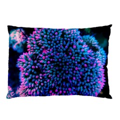 Pink-tipped Sedum Pillow Case by okhismakingart