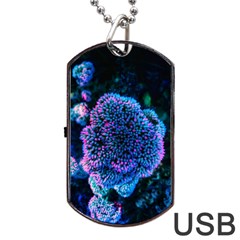 Pink-tipped Sedum Dog Tag Usb Flash (one Side) by okhismakingart