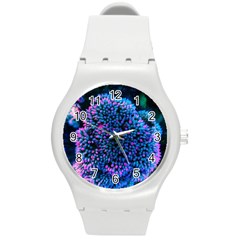 Pink-tipped Sedum Round Plastic Sport Watch (m) by okhismakingart