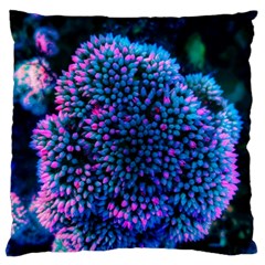 Pink-tipped Sedum Standard Flano Cushion Case (one Side) by okhismakingart