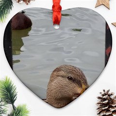 Framed Ducks Ornament (heart) by okhismakingart