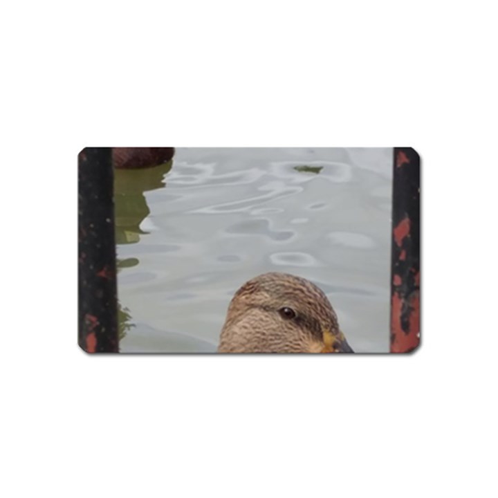 Framed Ducks Magnet (Name Card)