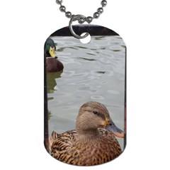 Framed Ducks Dog Tag (two Sides) by okhismakingart