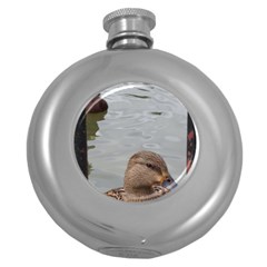 Framed Ducks Round Hip Flask (5 Oz) by okhismakingart