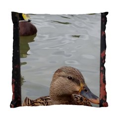 Framed Ducks Standard Cushion Case (one Side) by okhismakingart