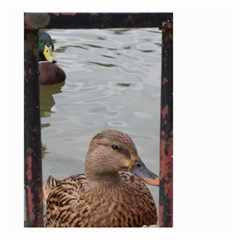 Framed Ducks Small Garden Flag (two Sides) by okhismakingart