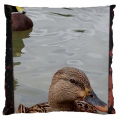 Framed Ducks Large Cushion Case (two Sides) by okhismakingart