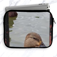 Framed Ducks Apple Ipad 2/3/4 Zipper Cases by okhismakingart