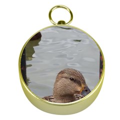 Framed Ducks Gold Compasses by okhismakingart