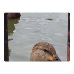 Framed Ducks Double Sided Flano Blanket (mini)  by okhismakingart