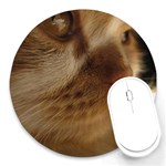 Cute Cat Face Round Mousepads Front