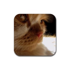 Cute Cat Face Rubber Coaster (square)  by LoolyElzayat