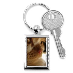 Cute Cat Face Key Chains (rectangle)  by LoolyElzayat