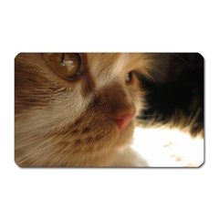 Cute Cat Face Magnet (rectangular) by LoolyElzayat