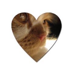 Cute Cat Face Heart Magnet by LoolyElzayat