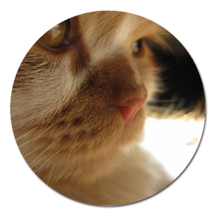 Cute Cat Face Magnet 5  (Round)