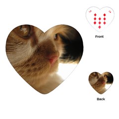 Cute Cat Face Playing Cards (heart) by LoolyElzayat