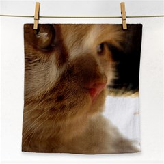 Cute Cat Face Face Towel by LoolyElzayat