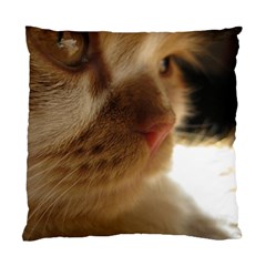 Cute Cat Face Standard Cushion Case (two Sides) by LoolyElzayat