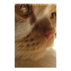 Cute Cat Face Shower Curtain 48  X 72  (small)  by LoolyElzayat