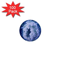 Light Blue Closing Queen Annes Lace 1  Mini Buttons (100 Pack)  by okhismakingart