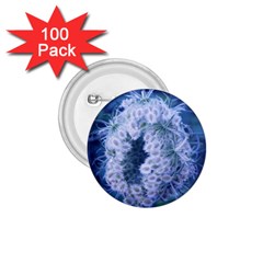 Light Blue Closing Queen Annes Lace 1 75  Buttons (100 Pack)  by okhismakingart