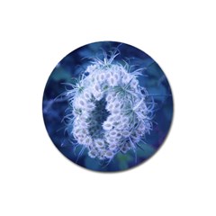 Light Blue Closing Queen Annes Lace Magnet 3  (round) by okhismakingart