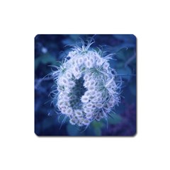 Light Blue Closing Queen Annes Lace Square Magnet by okhismakingart