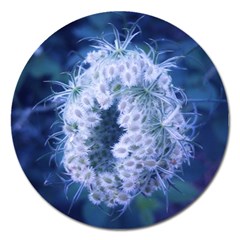 Light Blue Closing Queen Annes Lace Magnet 5  (round) by okhismakingart