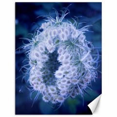 Light Blue Closing Queen Annes Lace Canvas 12  X 16  by okhismakingart