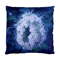 Light Blue Closing Queen Annes Lace Standard Cushion Case (two Sides) by okhismakingart