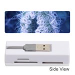 Light Blue Closing Queen Annes Lace Memory Card Reader (Stick) Front