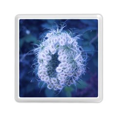 Light Blue Closing Queen Annes Lace Memory Card Reader (square) by okhismakingart