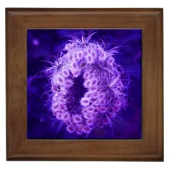 Dark Purple Closing Queen Annes Lace Framed Tiles by okhismakingart