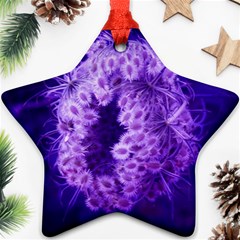 Dark Purple Closing Queen Annes Lace Ornament (star) by okhismakingart