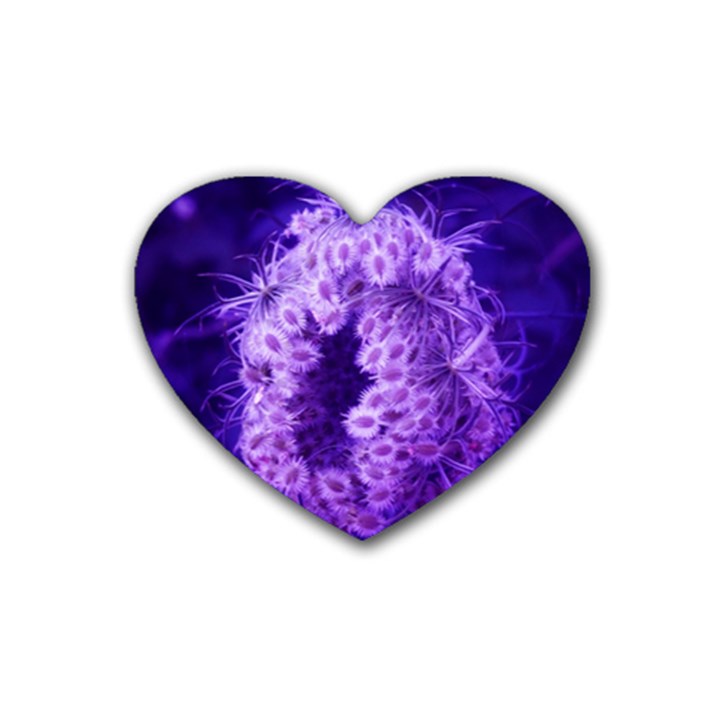 Dark Purple Closing Queen Annes Lace Heart Coaster (4 pack) 