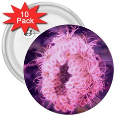 Pink Closing Queen Annes Lace 3  Buttons (10 Pack)  by okhismakingart