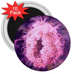 Pink Closing Queen Annes Lace 3  Magnets (10 Pack)  by okhismakingart