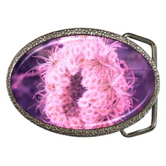 Pink Closing Queen Annes Lace Belt Buckles by okhismakingart