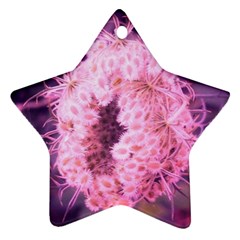 Pink Closing Queen Annes Lace Star Ornament (two Sides) by okhismakingart