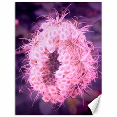 Pink Closing Queen Annes Lace Canvas 12  X 16  by okhismakingart