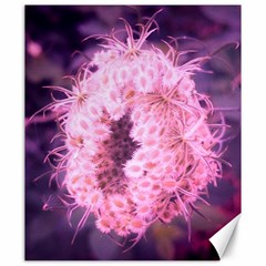 Pink Closing Queen Annes Lace Canvas 20  X 24  by okhismakingart