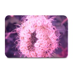 Pink Closing Queen Annes Lace Plate Mats by okhismakingart