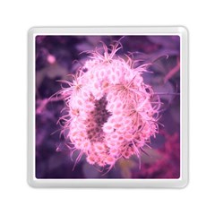 Pink Closing Queen Annes Lace Memory Card Reader (square) by okhismakingart