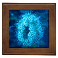 Blue Closing Queen Annes Lace Framed Tiles by okhismakingart