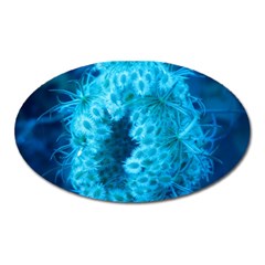 Blue Closing Queen Annes Lace Oval Magnet by okhismakingart