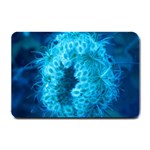 Blue Closing Queen Annes Lace Small Doormat  24 x16  Door Mat