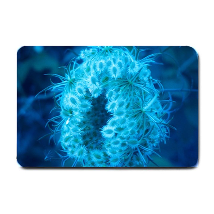 Blue Closing Queen Annes Lace Small Doormat 