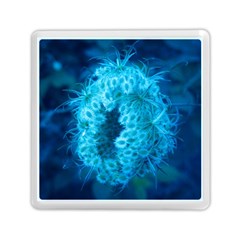 Blue Closing Queen Annes Lace Memory Card Reader (square) by okhismakingart